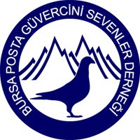 Bursa Posta Güvercini Sevenler Derneği